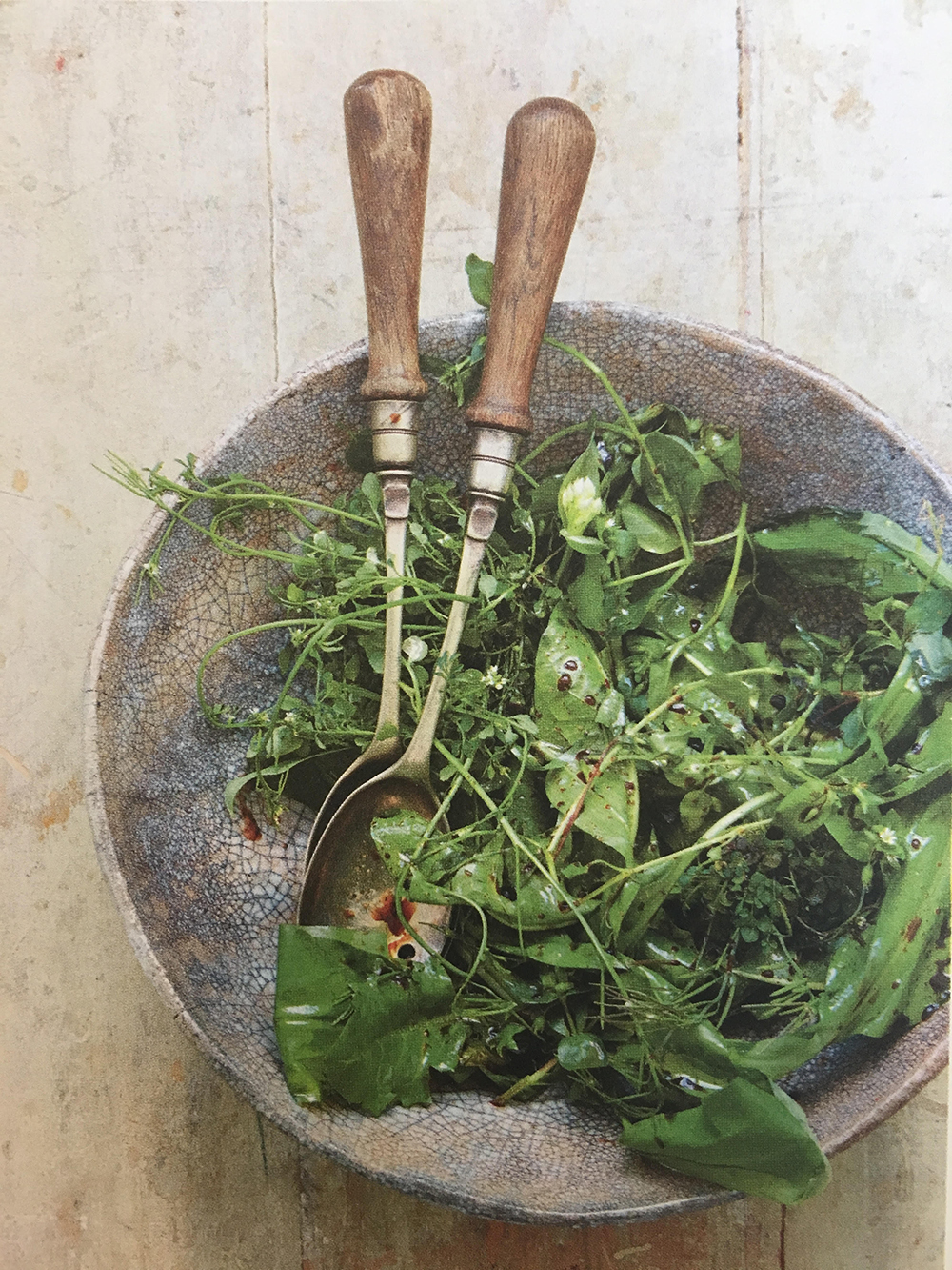 Foragers Salad